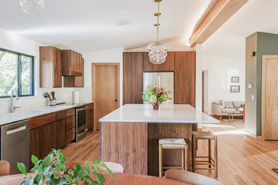 1950s kitchen photo in Other