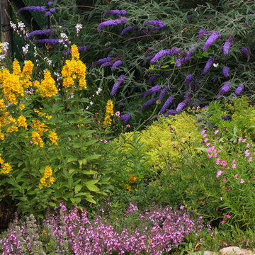 progettazione giardini