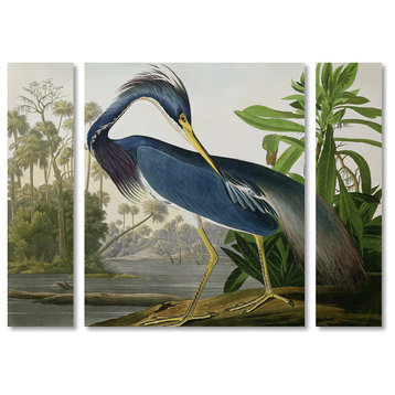 John James Audubon 'Louisiana Heron' Multi Panel Art Set,, 41"x30"