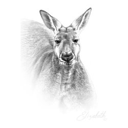Red Kangaroo Portrait - Fine Art Prints