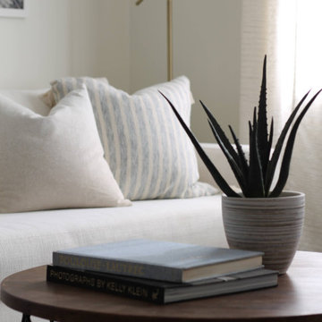Aloe Vera Plant on Origami Base Coffee Table