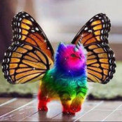 Wendy Cochran's photo