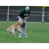 Corey Leach's photo
