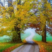 Ina Ibrahimova's photo