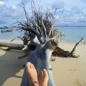 Olivia Donnelly's photo