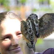 Meghan Powell's photo