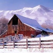 Foto di Sandy Bryson Brandon