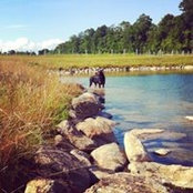 Alana Kilpatrick's photo