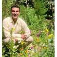Pratolino Landscape Design's profile photo
