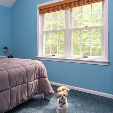 Attractive Bedroom, Cute Dog and New Windows - Renewal by Andersen Westchester,