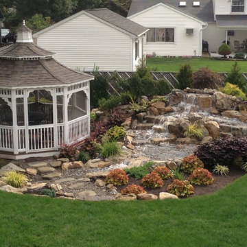 Pond Paradise Designs assorted photos