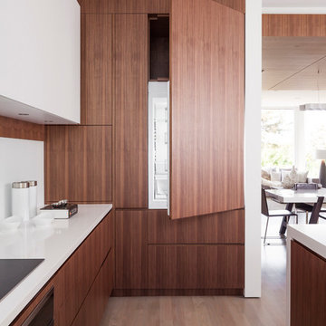 Pacific Heights Remodel