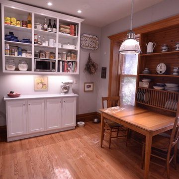 Lincoln Park Kitchen Update