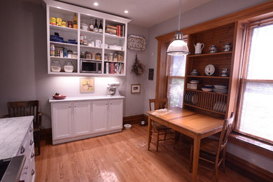 Lincoln Park Kitchen Update