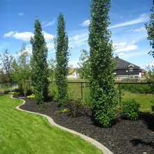 outdoors