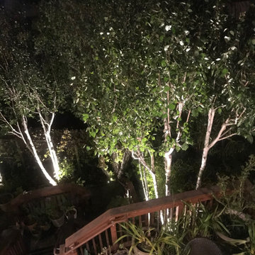 Landscape Design & Build