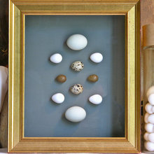 Shadow Box