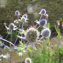 Planting - Garden Products