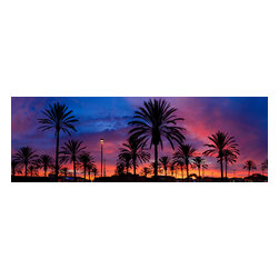 Douglas Page Photographic Arts - San Clemente Palms-PANO- Canvas Giclee, 15" X 5" - Prints And Posters
