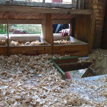 Chicken coops