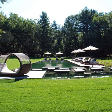BioNova® Natural Swimming Pool - Danbury, CT