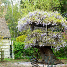 Garden Treehouse