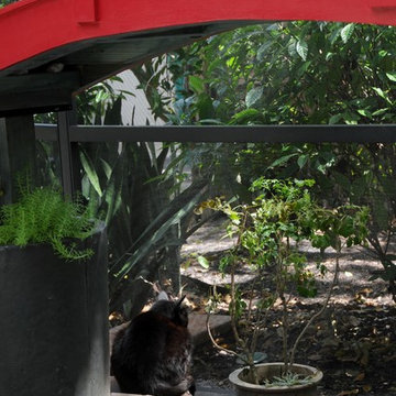 Florida Catio renovation