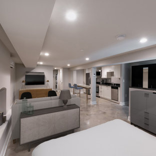 ワシントンD.C.の小さいコンテンポラリースタイルのおしゃれな地下室 (半地下 (窓あり) 、グレーの壁、コンクリートの床、暖炉なし、漆喰の暖炉まわり、グレーの床) の写真