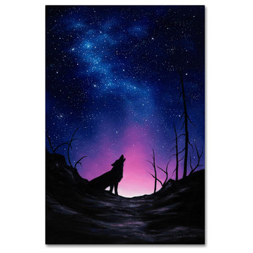 Chuck Black 'Starry Nights' Canvas Art, 30x47