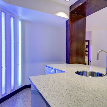 Basement Bar Contemporary Light