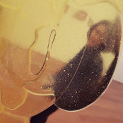 Luci's photo