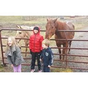 Mary Hillard's photo