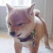 Jonathan Robichaud's photo