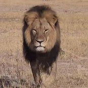 Foto von Leon Jeffery