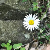 Allison Covington's photo