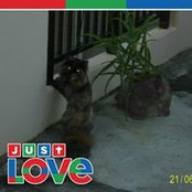 Allison Wray's photo