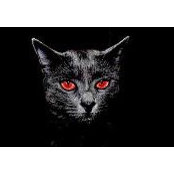 Dale Dawson's photo