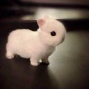 Kate Sicard's photo