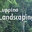 Luppino Landscaping
