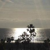 Sue Gavazzi's photo