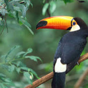Michael Atkinson's photo