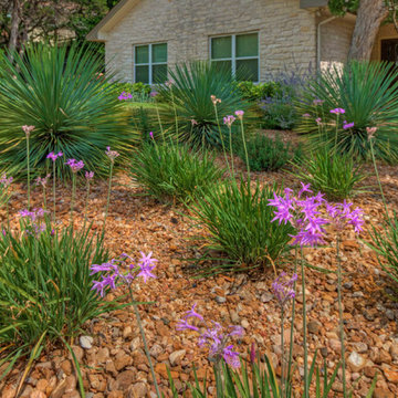 Xeric plantings