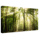 Pi Photography Wall Art and Fine Art - Sun Rays Through Tree Tops Rural Landscape Photo Canvas Wall Art Print, 24" X 36" - Sun Rays Through Treetops - Rural / Country Style / Rustic / Landscape / Nature Photograph Canvas Wall Art Print - Artwork - Wall Decor