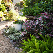 Garden Ideas