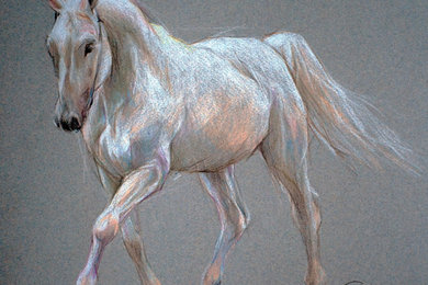 The Arabian Horse breed Portraits - Equine Art