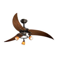 Fans