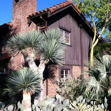 Plants_Exterior