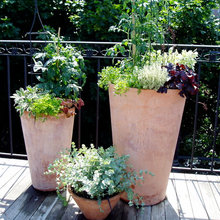 Outdoors Deck Porch Garden