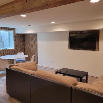 Roseville Mid Century Basement