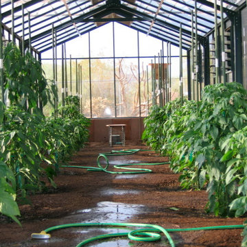 Interior Spaces Designed by Customers